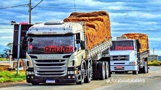 ESPECIAL CABELO BATATEIRO FOGUETINHO VÍDEOS