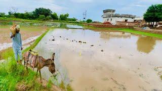 Allah Ki Rehmant Barish  Her Tarf  Pani Hi pani Ho Gaya