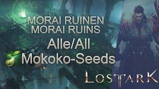 Lost Ark Morai Ruins All Mokoko Seeds  Morai Ruinen Alle Mokoko Samen