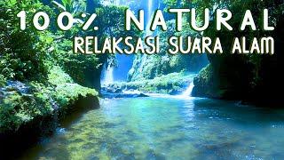 RELAXATION OF NATURAL SOUNDS OF BIRDS AND WATERFALLS SOUNDS IN THE FOREST