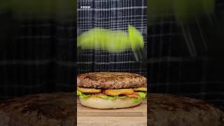 Grilling Up Sonics Masterful Meh Burger #shorts #sonicboom #burger #netflix