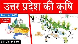 UP GK  Lecture 09  उत्तर प्रदेश की कृषि एवं पशुपालन  Agriculture of UP  UP Gk Notes  UPPCS