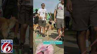 Join us & Harbor House for the annual Paws for Peace walk and 5k More info  ClickOrlando.com