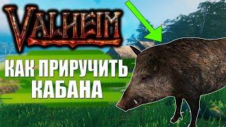 Valheim гайд как приручить кабана