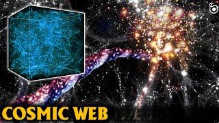 Secret of the Cosmic web  How the Universe Works 