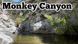 How to get to Monkey Canyon Falls step by step