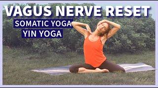 SOMATIC YOGA FOR VAGUS NERVE RESET with Yin Yoga to Remove Toxic Energies