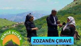 DENGÊ BOTAN - ZOZANÊN ÇIRAVÊ 2024