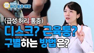 허리 아프다고 무조건 병원에 가야 할까? 집에서 허리 통증 관리하는 꿀팁 - 이고은의 허리 통증 해방 #03