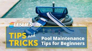 Leslies Tips Pool Maintenance Tips for Beginners  Leslies