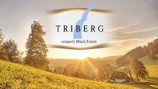 Triberg - absolute Black Forest