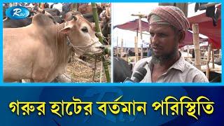 গরু প্রতি ১২ হাজার টাকা নিচ্ছে ইজারাদাররা  Gorur Hat  Rtv News