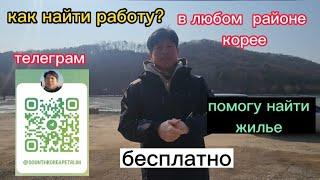 Как быстро самому найти работу кто в первые приехал в Южную Корею на заработки