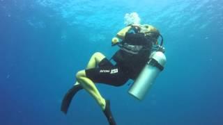 Christmas & Funny Diving