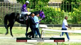 Hippisme - 5ème journée - La 1ère course en direct