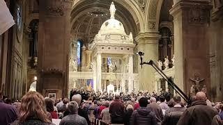 Christmas Festival 2023 New Hope @ Basilica Minneapolis