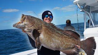 BIG Black Grouper Caught in the Dry Tortugas LIVE BAIT