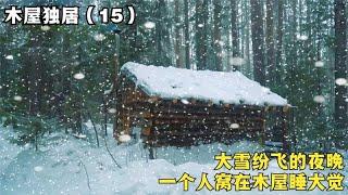 木屋独居（15）：大雪纷飞的夜晚，一个人在温暖的木屋里睡大觉