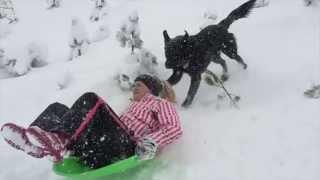 White River Canyon Dog Snow Day 2014