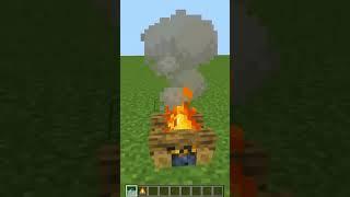 Что ВНУТРИ КОСТРА в МАЙНКРАФТ? #shorts #minecraft