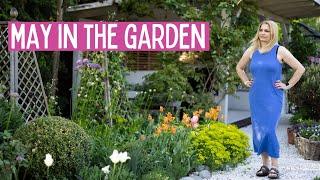 Essential May Gardening Tips Tulips Pansies and Summer Pots  Garden with Marta