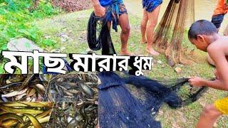 আশ্বিন মাসে যখন তীব্র রোদের কারণে নদীর পানি শুকিয়ে যায় তখন নদীতে মাছ মারার ধুম পড়ে যায়.dailylife