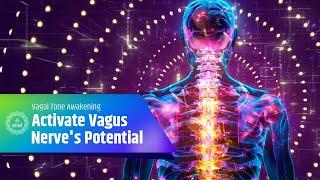 Vagal Tone Awakening Activate Vagus Nerves Potential - Heal Emotional Disorders With Harmony