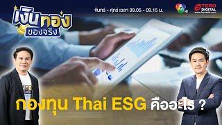 กองทุน Thai ESG ลดหย่อนภาษีได้อย่างไรบ้าง ?  เงินทองของจริง