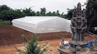 How Agricultural Innovations Help Feed the Future In Cambodia