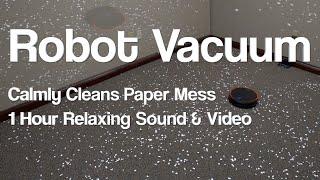 Robot Vacuum Calmly Cleans Paper Mess - 1 Hour Relaxing Sound and Video