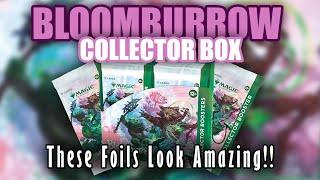 Bloomburrow Collector Box Opening - Cutest Foils Youve Ever Seen