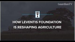 How Leventis Foundation is reshaping agriculture