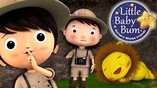 Going On A Lion Hunt  Nursery Rhymes for Babies by LittleBabyBum - ABCs and 123s