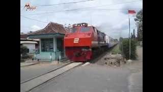 High Speed Limex Sriwijaya Train