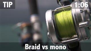 BRAID VS MONO