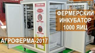 Инкубатор Стимул-1000 от компании Стимул-Инк. Выставка АгроФерма-2017