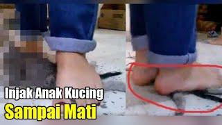 BIADAB Tiga Perempuan Ini Injak-Injak Anak Kucing Hingga Mati