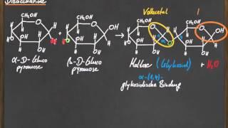 Q 11 Disaccharide