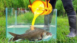 Experiment Lava vs Fish Herring in Fish Tank