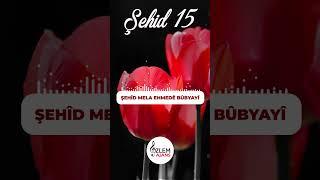 Şehid 15  Şehîd Mela Ehmedê Bûbyayî  Mehmet Ali Oğuz  Özlem Ajans #ilahi #müzik #reels