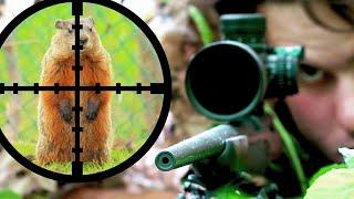 Sniping Groundhogs w 17HMR Scope Cam