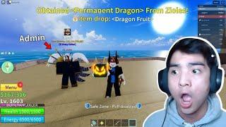 ADMIN ZIOLES GAVE ME DRAGON FRUIT IN BLOX FRUITS