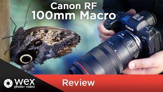 Canon RF 100mm f2.8 Macro Lens  Review