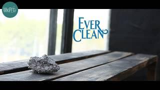 Наполнитель для кошачьего туалета Ever Clean