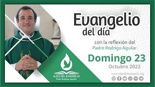 Evangelio de hoy l 23 de octubre de 2022 l XXX Domingo del tiempo ordinario l  Lucas 18 9-14