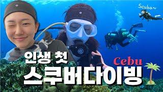 Cebu  여자 둘이 세부여행에서 인생 첫 스쿠버다이빙에 도전하다  세부 뉴그랑블루  더 코브 레스토랑  다시 찾은 힐루뚱안 포인트🪸