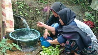 Enak Banget di Desa  Gadis Desa sederhana memetik Sayuran segar