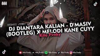 DJ DIANTARA KALIAN - DMASIV BOOTLEG X MELODI KANE CUYY VIRAL TIKTOK 2024