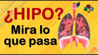 ¿Por que da HIPO y por que se produce?