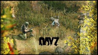 Это могло быть ИДЕАЛЬНОЕ ВЫЖИВАНИЕ в DayZ